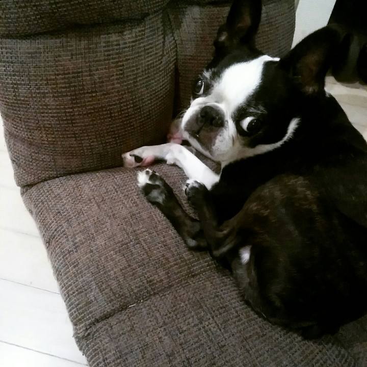 4e51c7bb ff95 48dd 9fc1 105a39ebd0a2