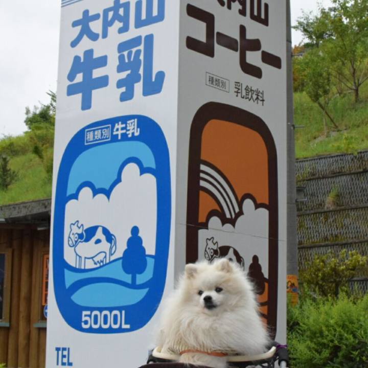 4e525bde 9e4c 4264 a5e8 2e6f40d5a1a9