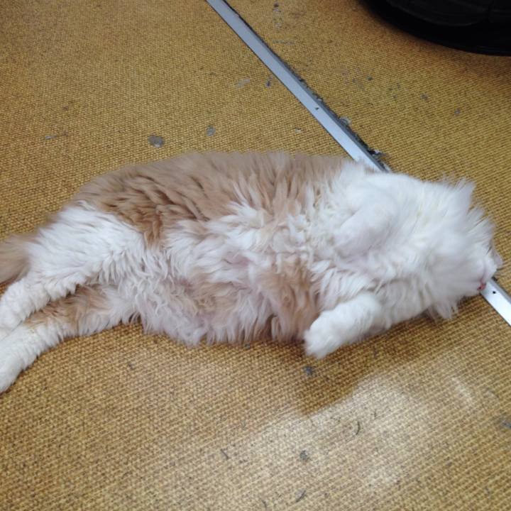 4e52fba4 0e9e 40d9 9197 4a28786da2b1