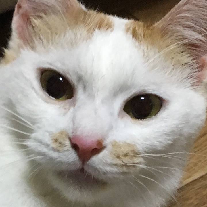 4e535d07 60c3 4a25 a6ac 5fdc2a924119