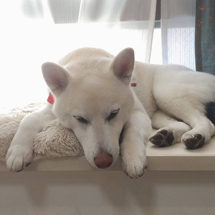 4e53cffa e1df 4382 9630 6cd88f430fd3