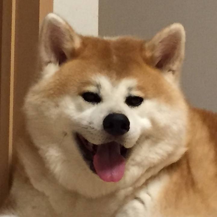 4e541393 e175 4d67 b9b1 4cf8e80a76db