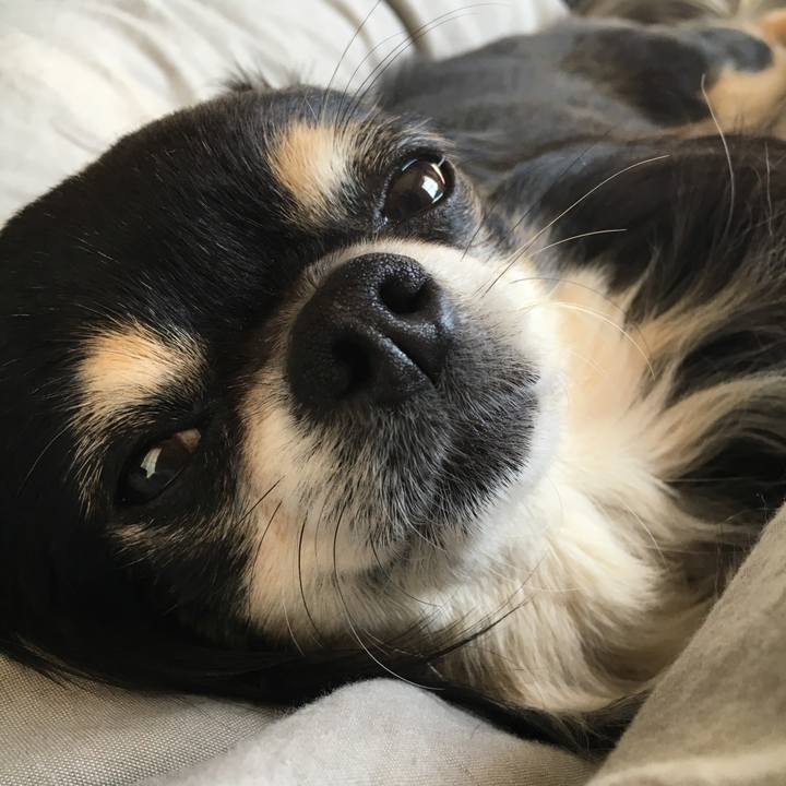 4e541841 7c2e 4fde aed3 65bc88a4a633