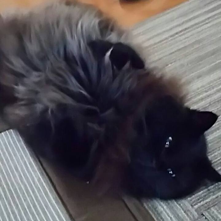 4e5426a5 2e84 48e9 b35c 65689af79e09