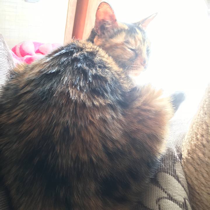 4e54a0d7 5d64 4ab1 a157 a883fa78eab2