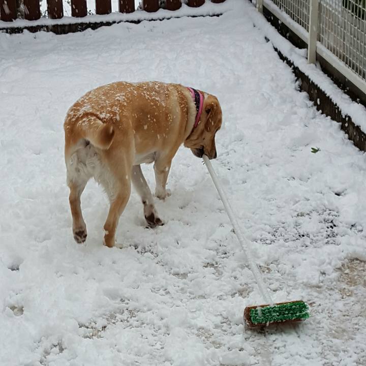 4e54f356 800f 489d 92eb 51681219d332