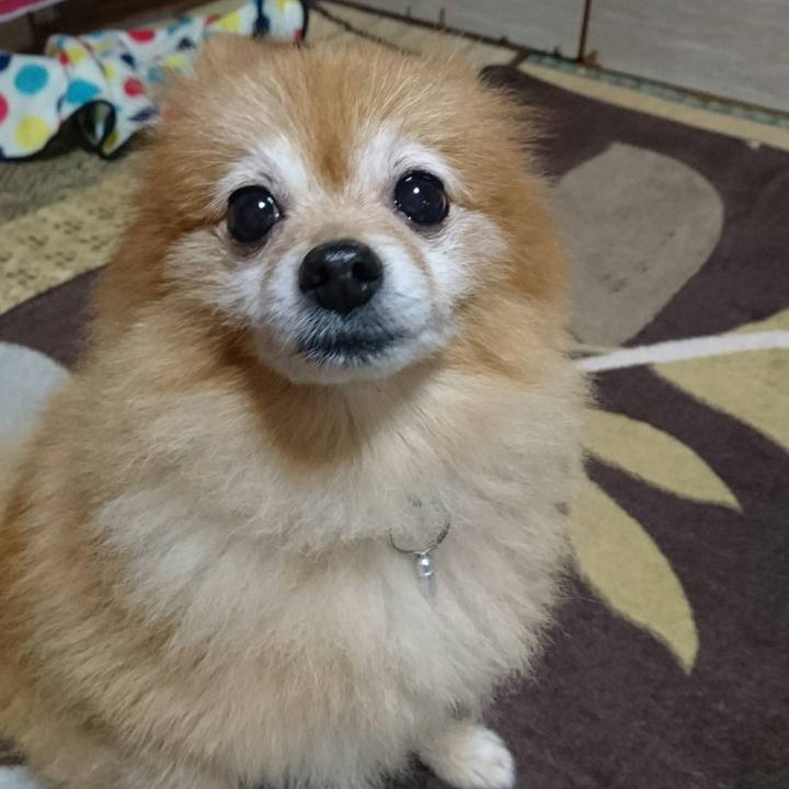 4e55317d 815a 4677 9c0d ea5420e96c87