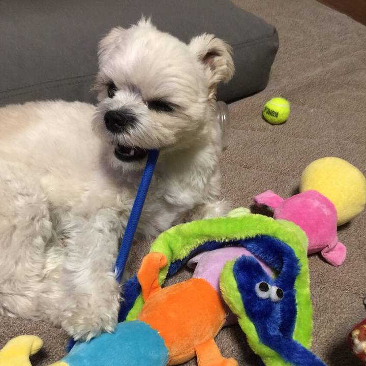 4e556b89 7966 406b bd39 5bd29bcfdbdd