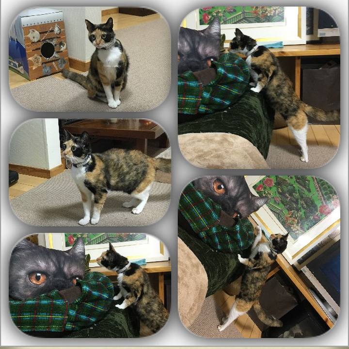 4e55af95 5aab 4dea 9c6a 728e11cb4250