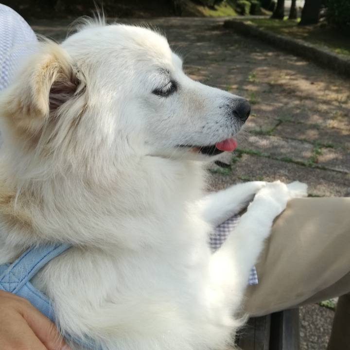 4e560346 5c72 45d4 95e4 12e4a2ce2e8a