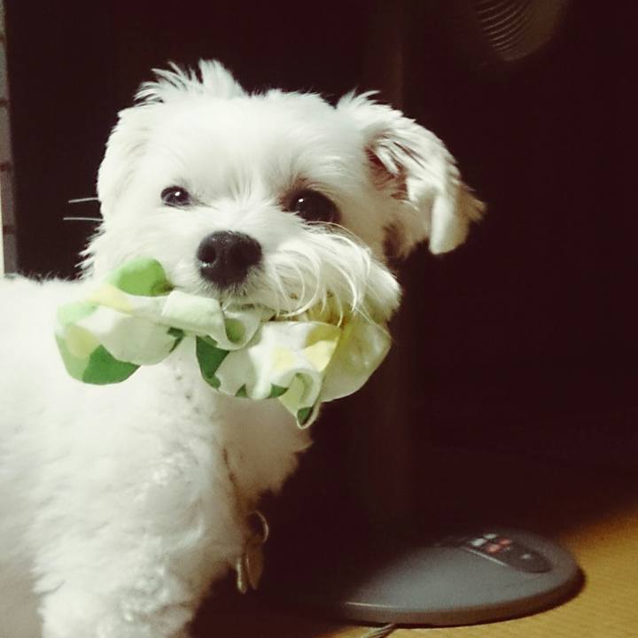 4e562a4d 241a 445b 971a 371298682691