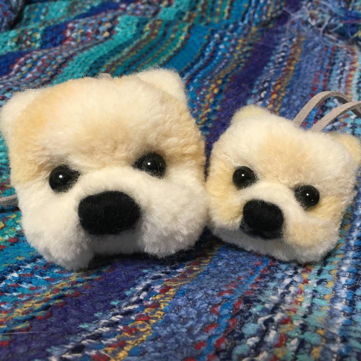 4e566b25 4199 40a5 b5b5 bfbe330c6b71