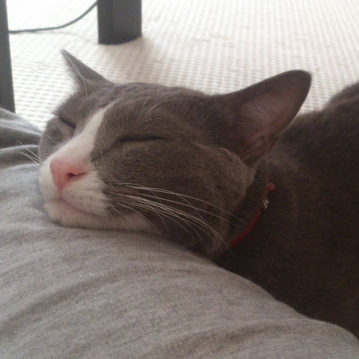 4e568b4e 5e35 4ea4 aff3 575487e256ea