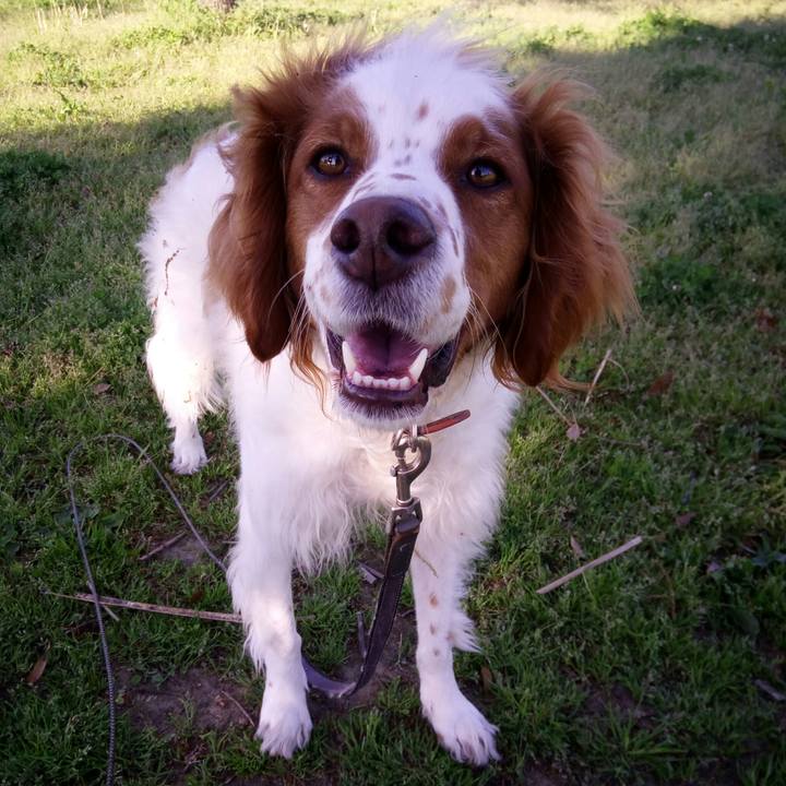 4e56c255 9483 49be a867 ece5595b4e6c