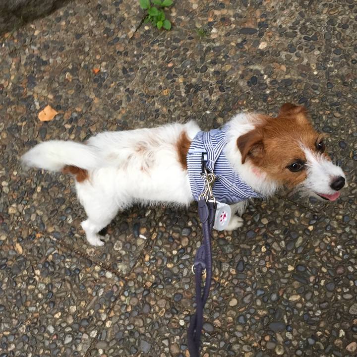 4e570140 5585 4f26 964c 75fa2c1b88b2