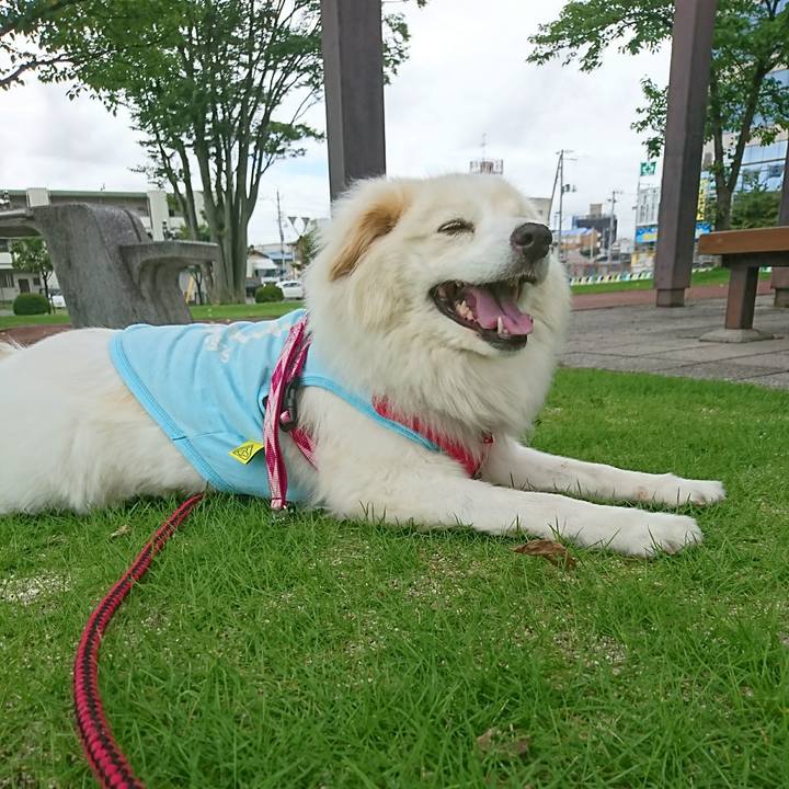 4e571589 63f2 420d a15e ccff95031262