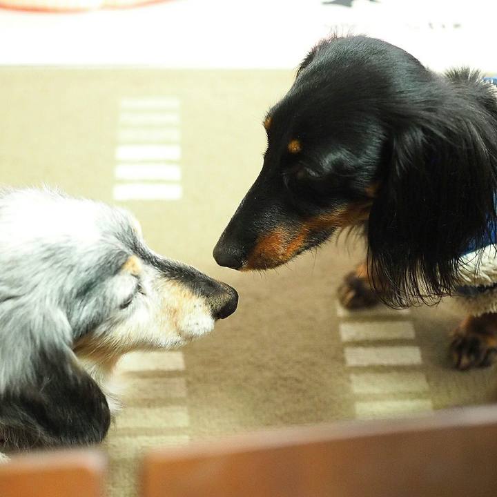 4e5716fa c56b 4203 9e0a b38e91cbcac3