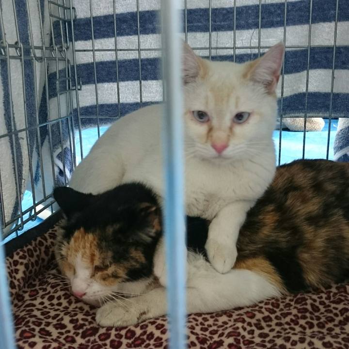 4e5749b1 a0af 47de bf53 f3525f785e67