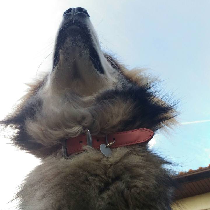 4e582140 1dc1 4798 916c c06547040ac9