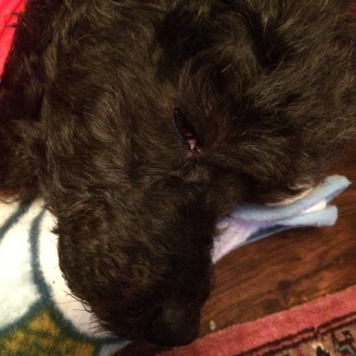 4e592906 b7fe 4c1a b0c3 f34936d5b0f6