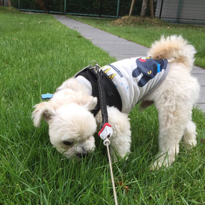 4e598d27 2db4 4c15 9abb 41443df44689