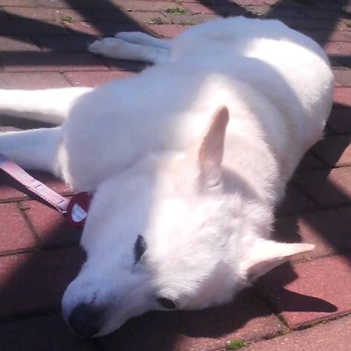 4e599fb0 3573 4206 9418 f464a1e8b3a9