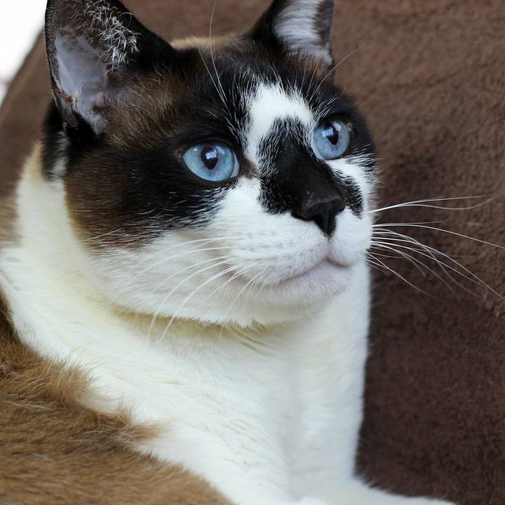 4e59a134 0fcf 452a b885 178b06d63a07