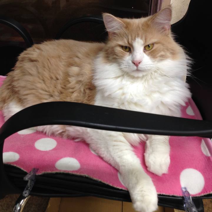 4e59fffb 60a8 47e1 8b55 787c5c42fb56