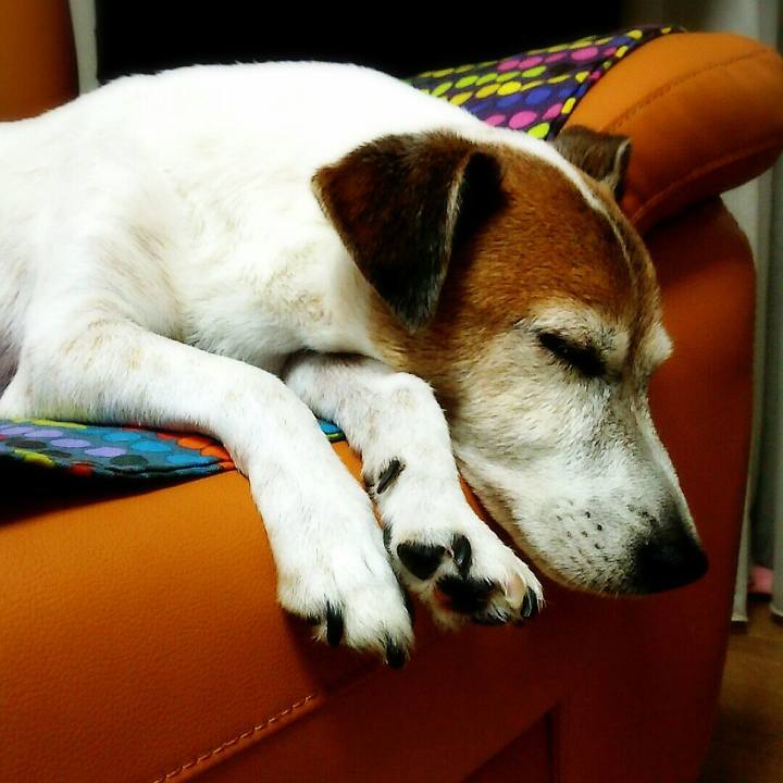 4e5a2541 6a84 48ae b4ba 8d19ebb5c20e