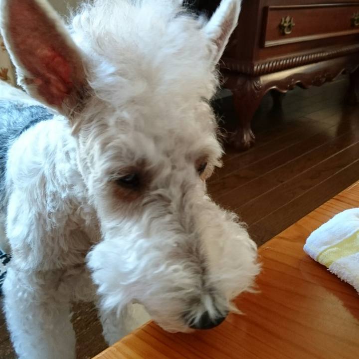 4e5a5d4c 0b4e 40ec ad19 9d8c2d3ca27e