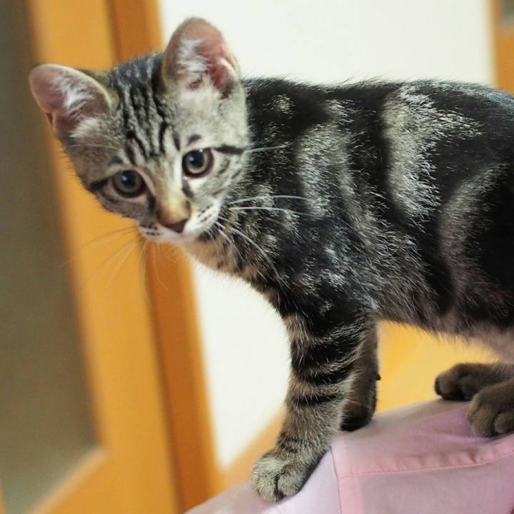 4e5a8581 17f4 4840 9cc6 3f2cfaf8098e