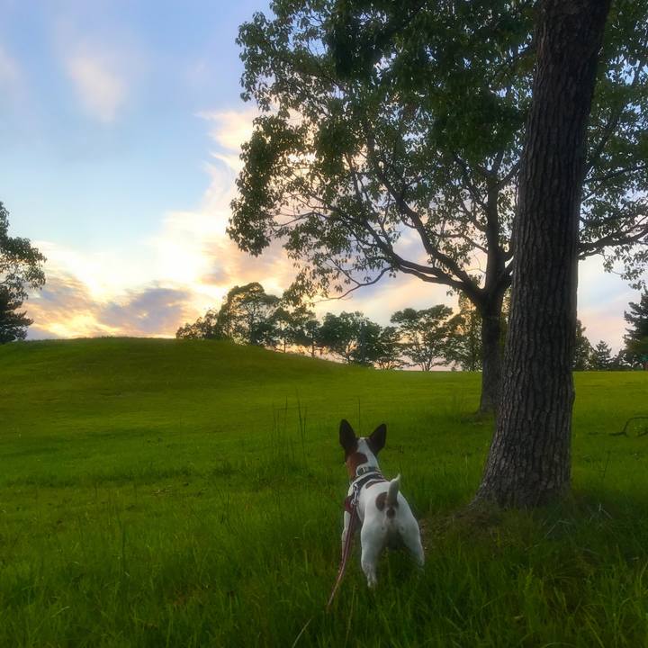 4e5b23da 0bc9 4897 9602 eed5afc9a5bf