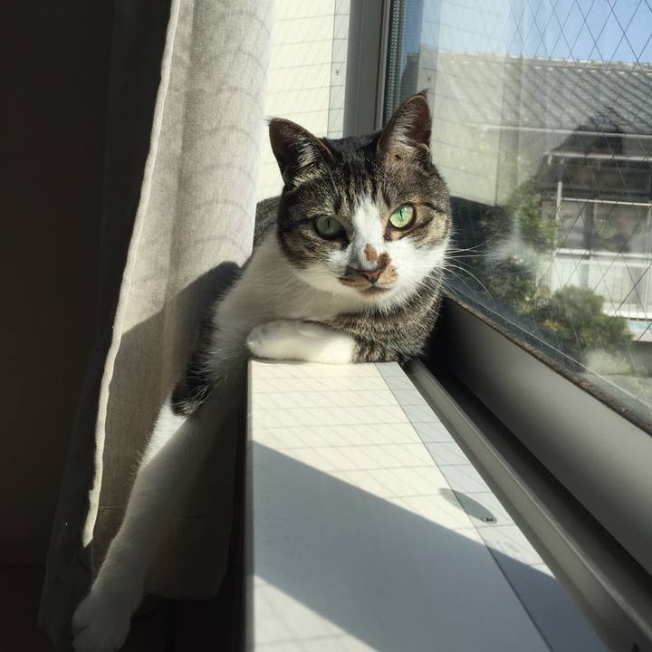 4e5b651e afbd 4356 b988 d00d5bd52181