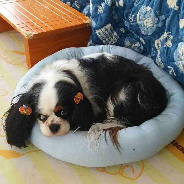 4e5c363a 8e0d 4df5 b7cf 206e3cce1865