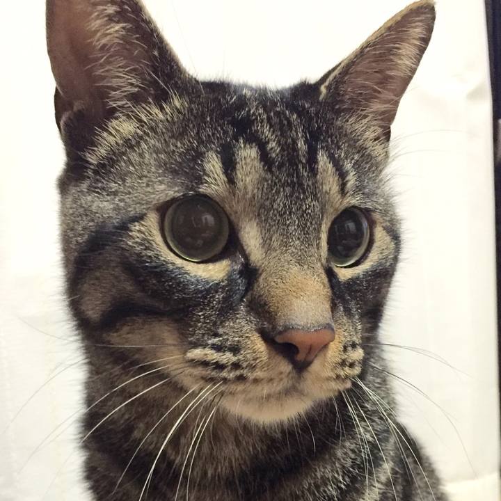 4e5cc0a8 09ed 4d5d 989d 026b9aac75a0