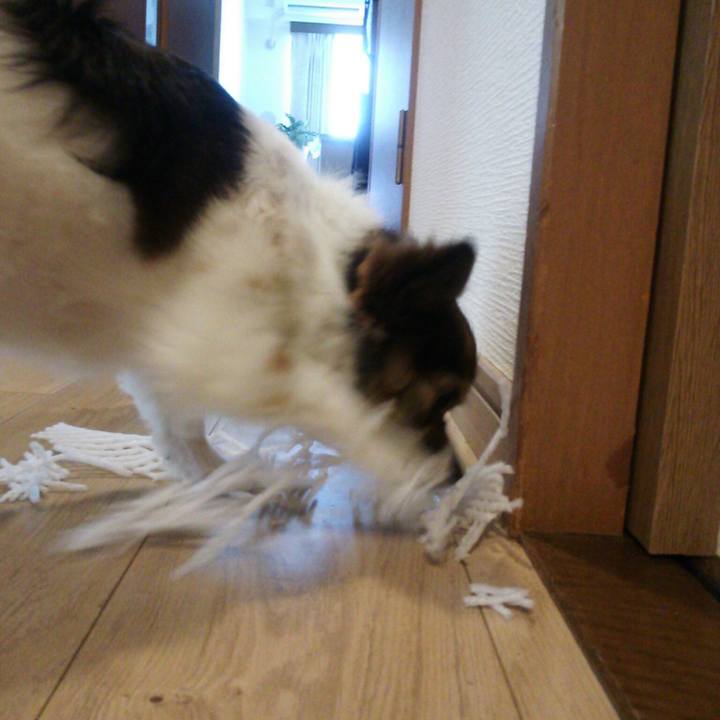 4e5cd70b c80b 4516 8632 1a3d312af59f