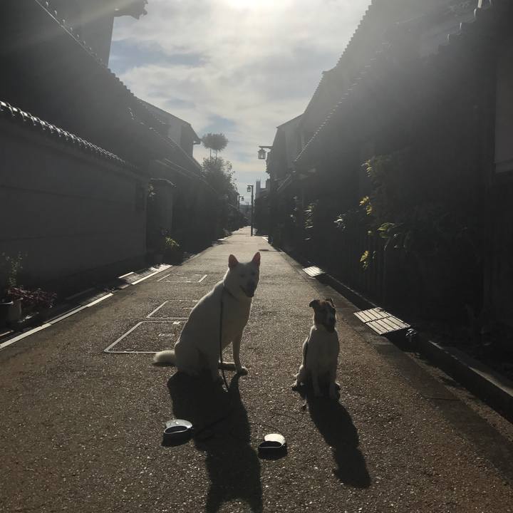 4e5cf116 f759 4b19 972b 1677041684a5