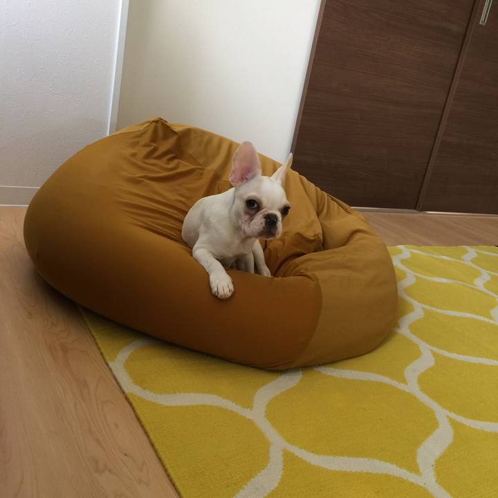 4e5d20e8 5381 4fbc a7e4 0a9ffd086068