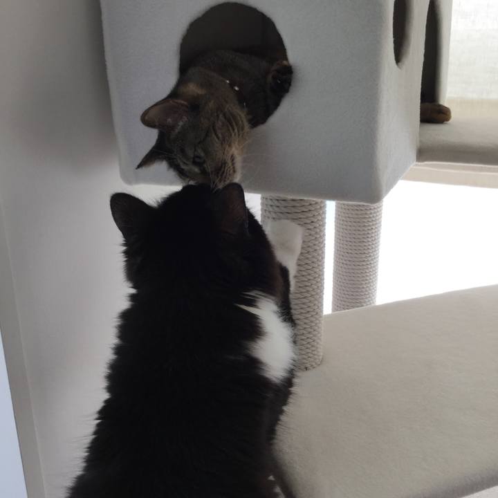 4e5db924 ed28 45a7 a310 5d694e11825a