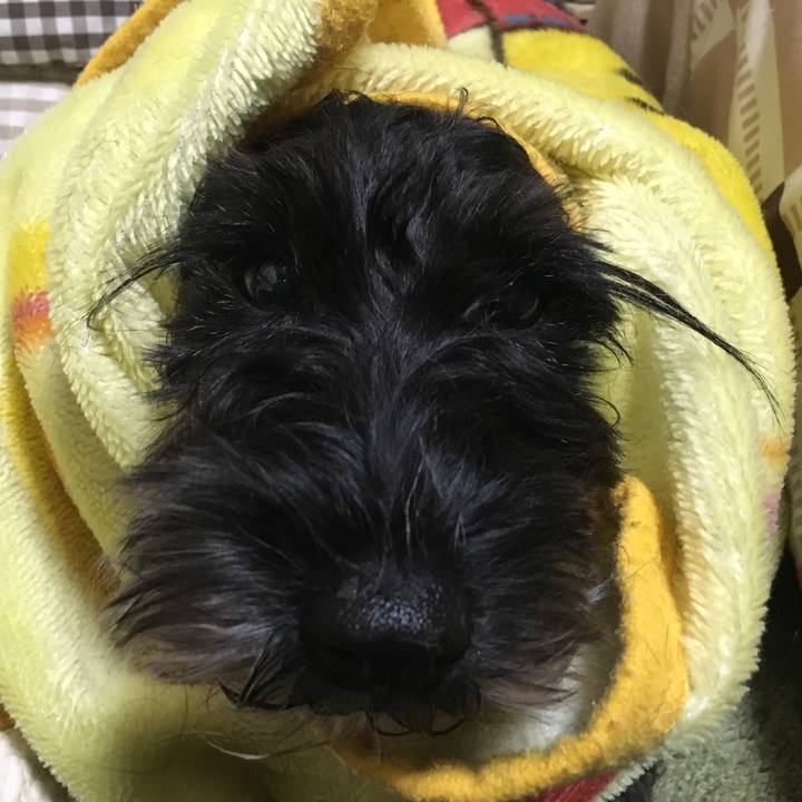 4e5dfe79 19e1 435b 97fd 1dfa0b676f35