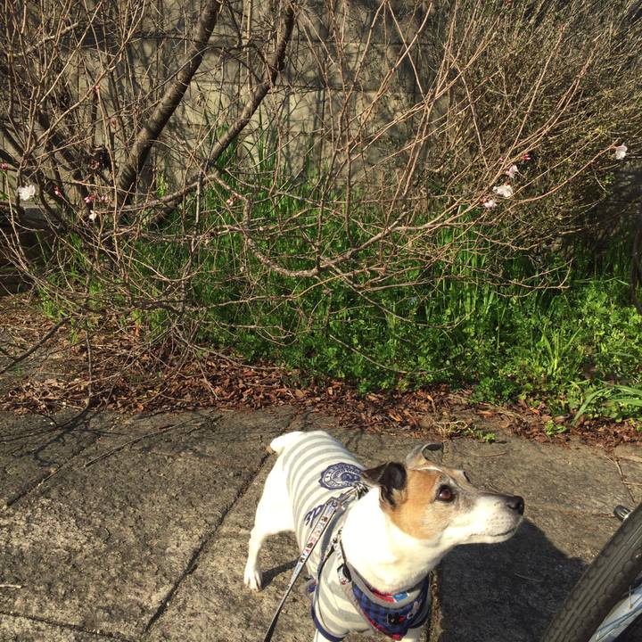 4e5e8974 b4b9 422e 8436 1d6067d6625a