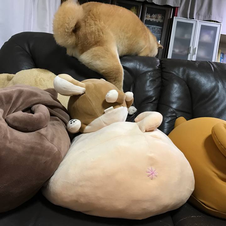 4e5ee8b6 e16a 43c4 ae17 81ac18a4c770