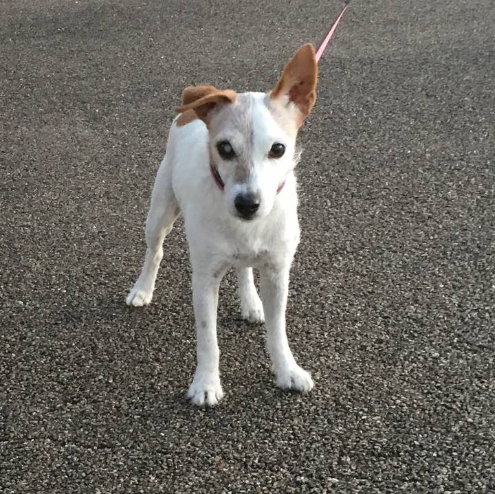 4e5fa522 5091 4c4b b122 6896536ef62e