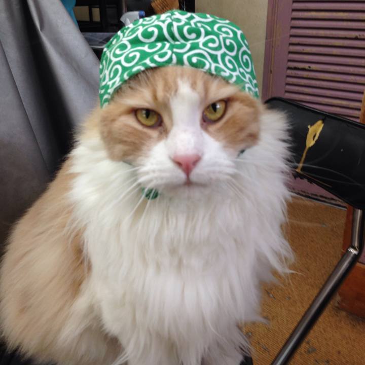 4e5fb8ef bfeb 48a2 bae2 ae7b90fcd433