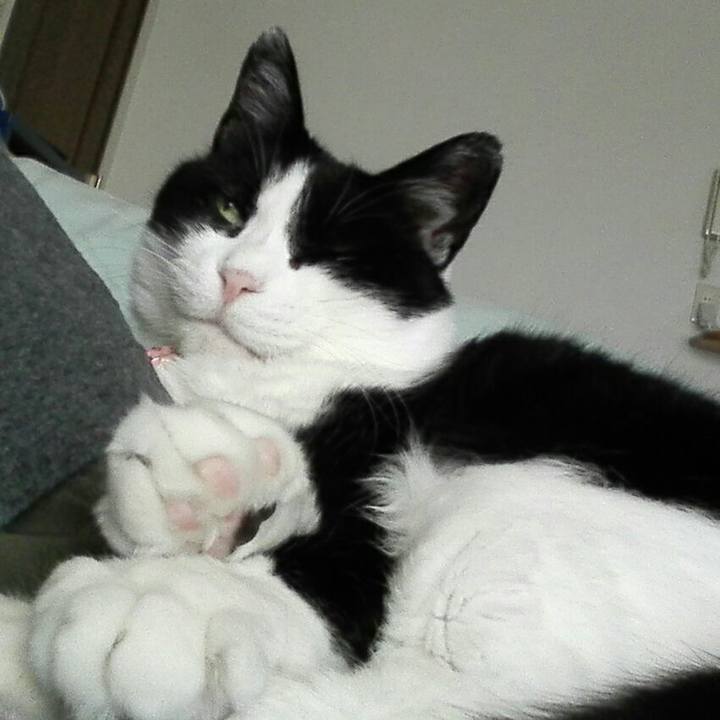 4e602751 ffb0 4c3d 82e9 b8af5765b20b