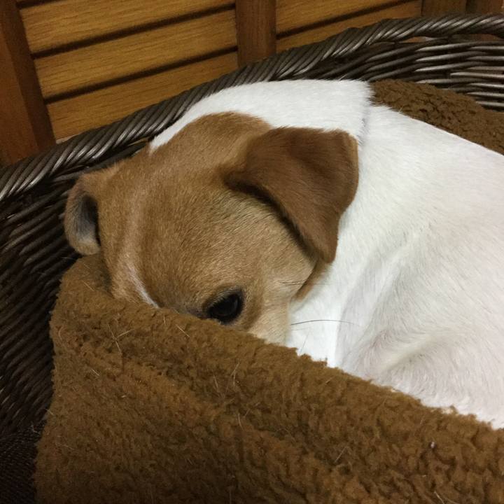 4e604181 325d 4e08 a329 f3d1ce7f002c