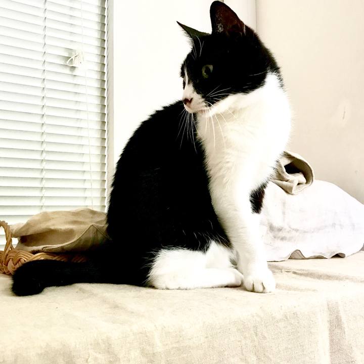 4e60d409 5e77 42ce 955b b51ab70c2dc8