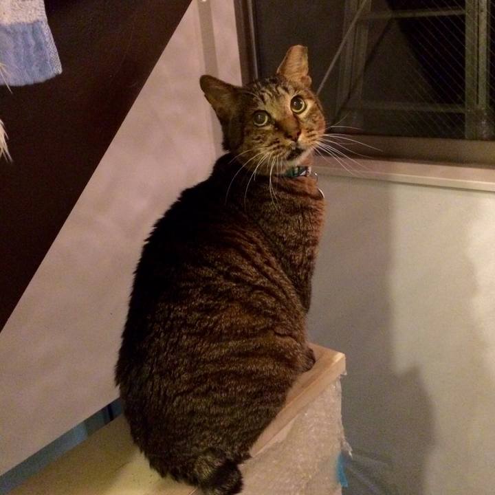 4e6147bc 9900 46d0 91f2 c0b1aedc3fd9