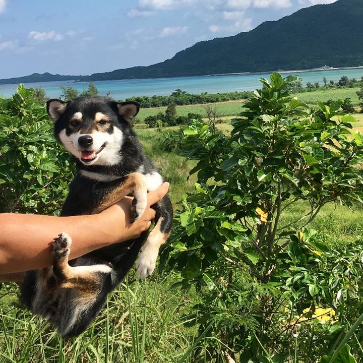 4e61881a 452c 4fe8 9c6a 56b81c33161c