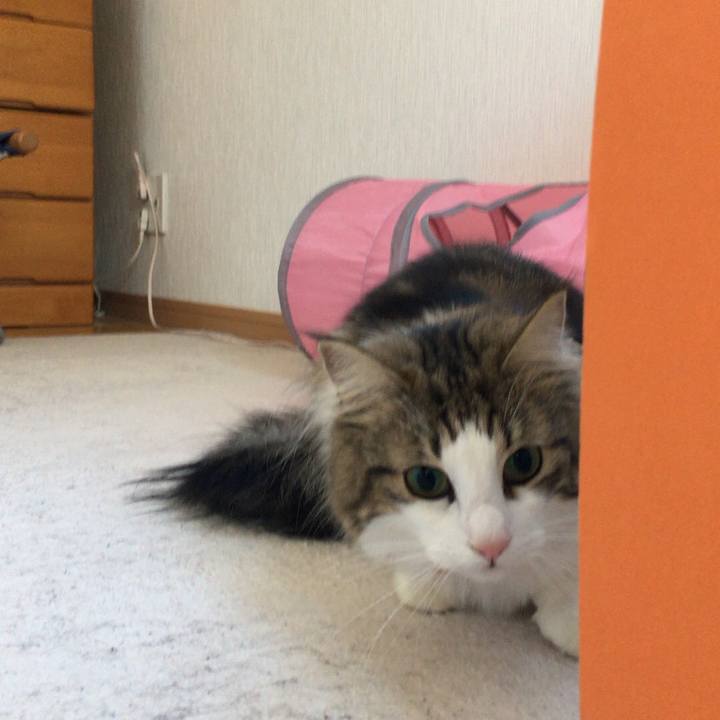 4e62803a efce 4bc6 9f46 db3a5c1cb875